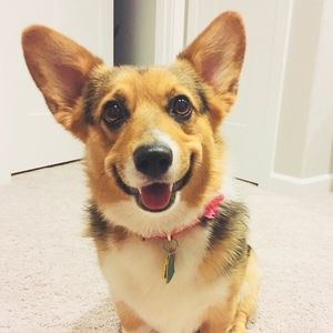 Meet your Posher, Brandi